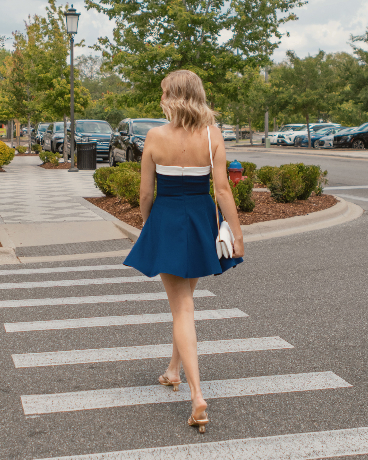 Amanda Uprichard Navy/Ivory Dress