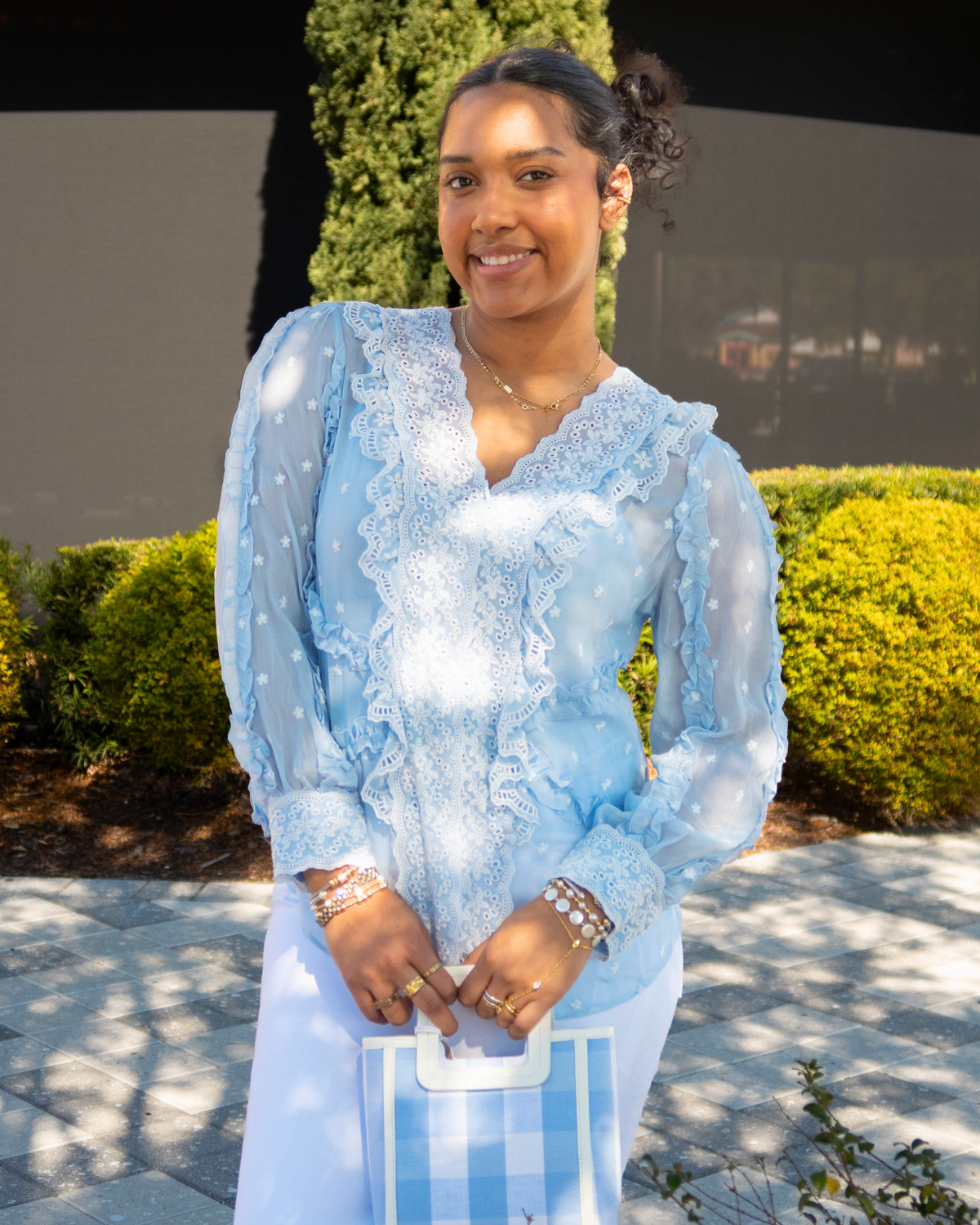 Hale Bob Aliza Swiss Dot Chiffon Top | Blue