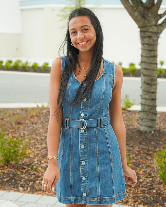 Paige Maxine Mini Dress | Seafare
