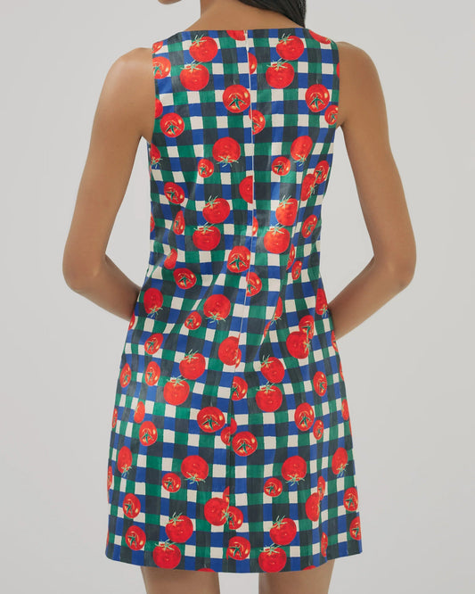 Hutch Sara Dress | Ivory/Multi
