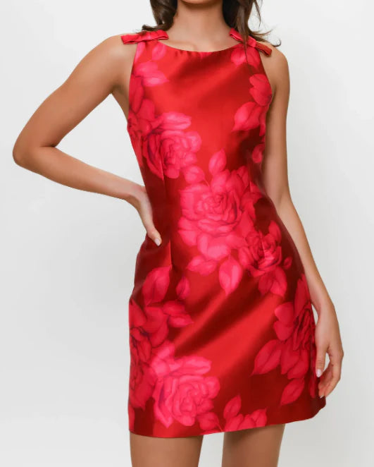 Hutch Chesca Dress | Red Spacious Roses