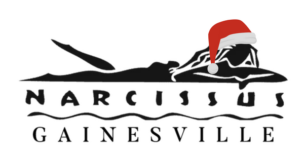 Narcissus Gainesville