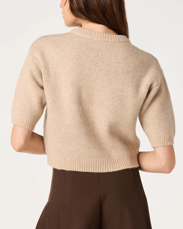 ASTR Colette Intarsia Short Sleeve Sweater | Oatmeal