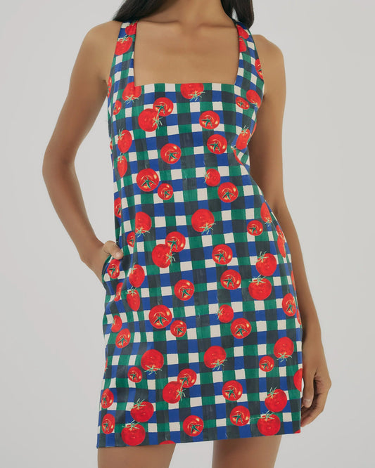 Hutch Sara Dress | Ivory/Multi