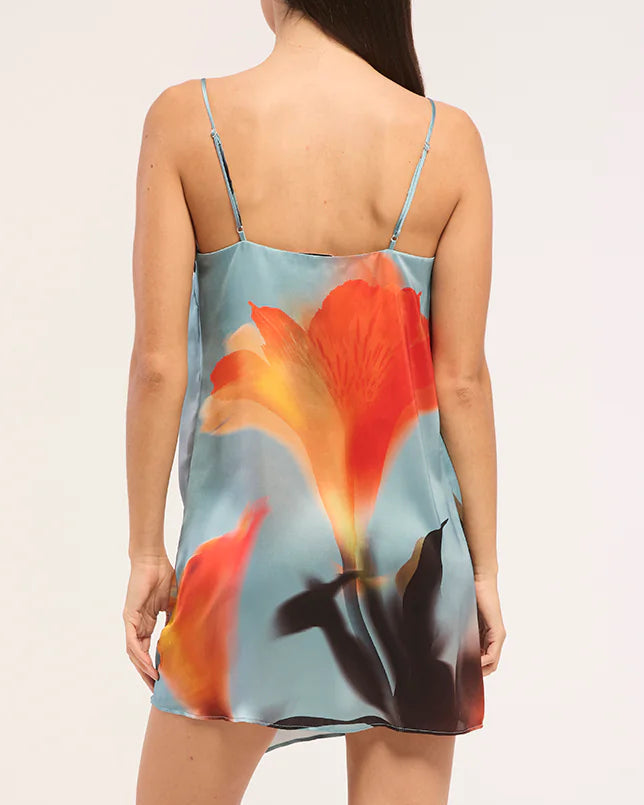 Misa Inez Dress | Fire Petal